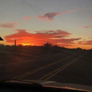 Meet your Posher, Lily